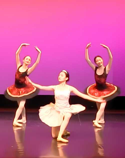 Ballet Company performance of Le Corsaire